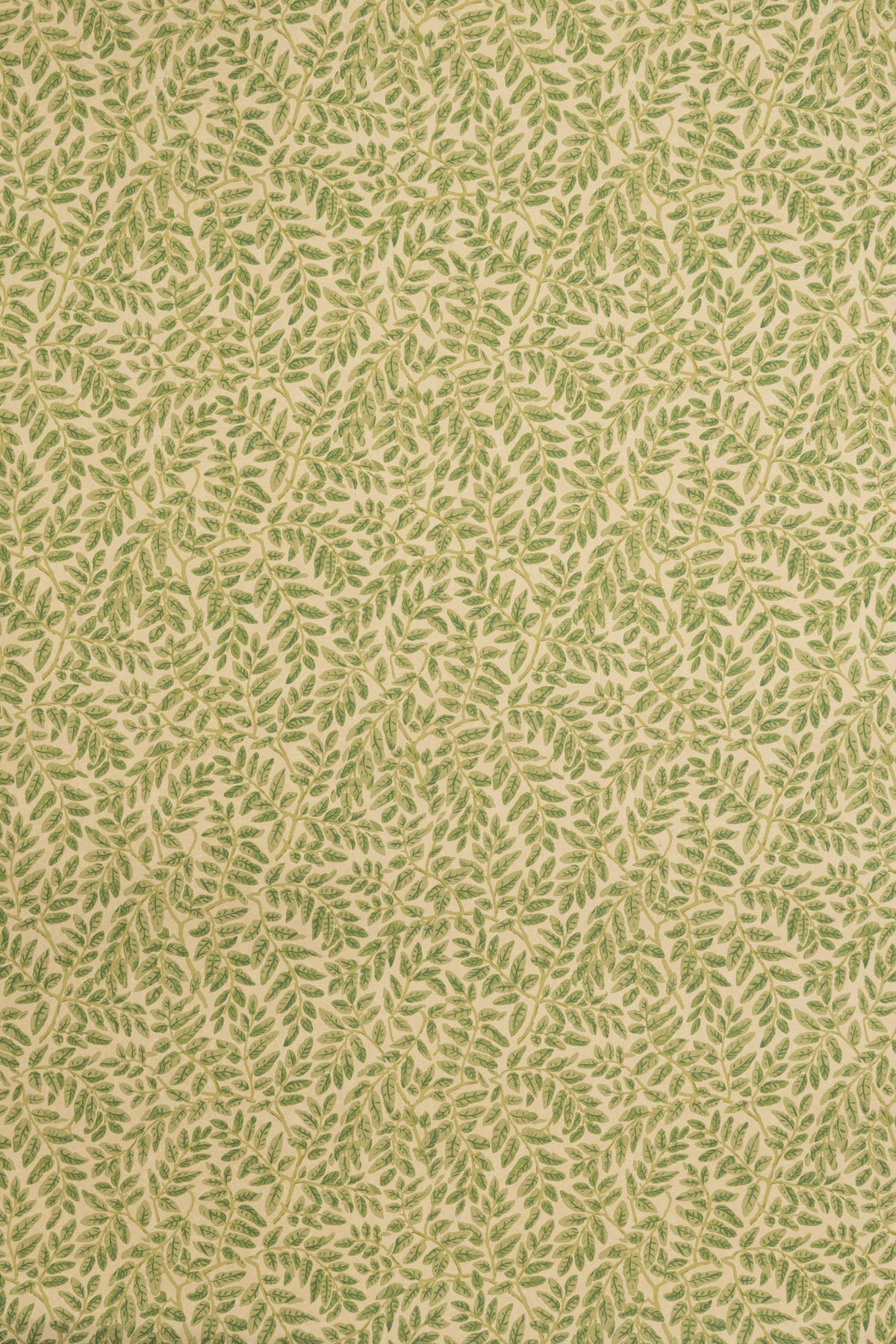 Tara Wallpaper by Jean Monro in Iguana