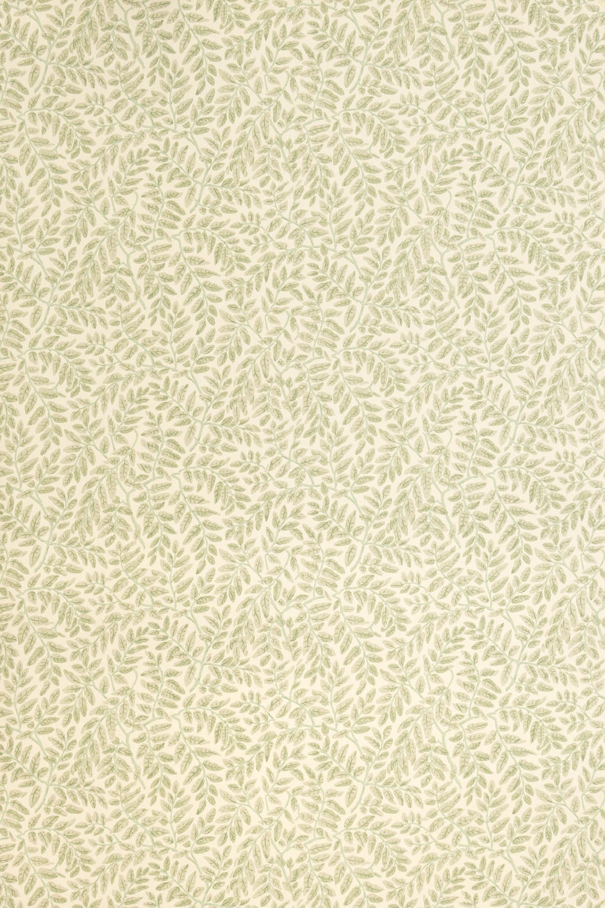 Tara Wallpaper by Jean Monro in Wisp