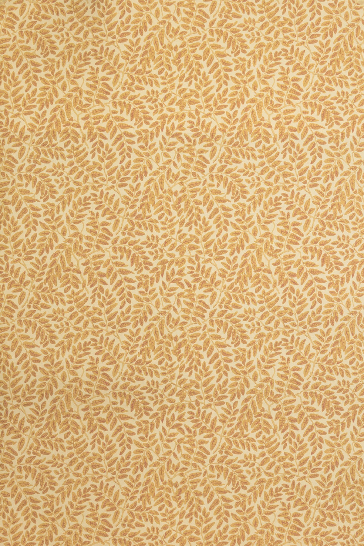 Tara Wallpaper by Jean Monro in Wren