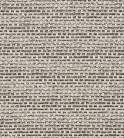 Tecido Fabric by Clarke & Clarke Charcoal
