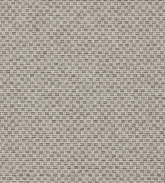 Tecido Fabric by Clarke & Clarke Charcoal