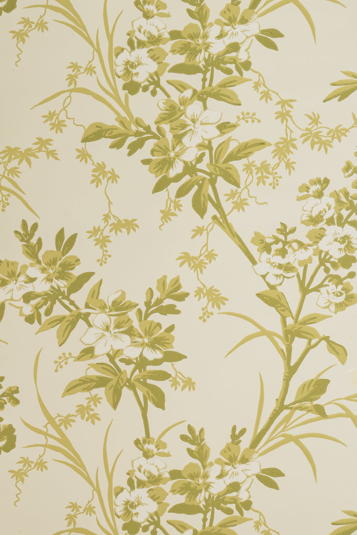Templeton Garden Wallpaper by Jean Monro in Lichen