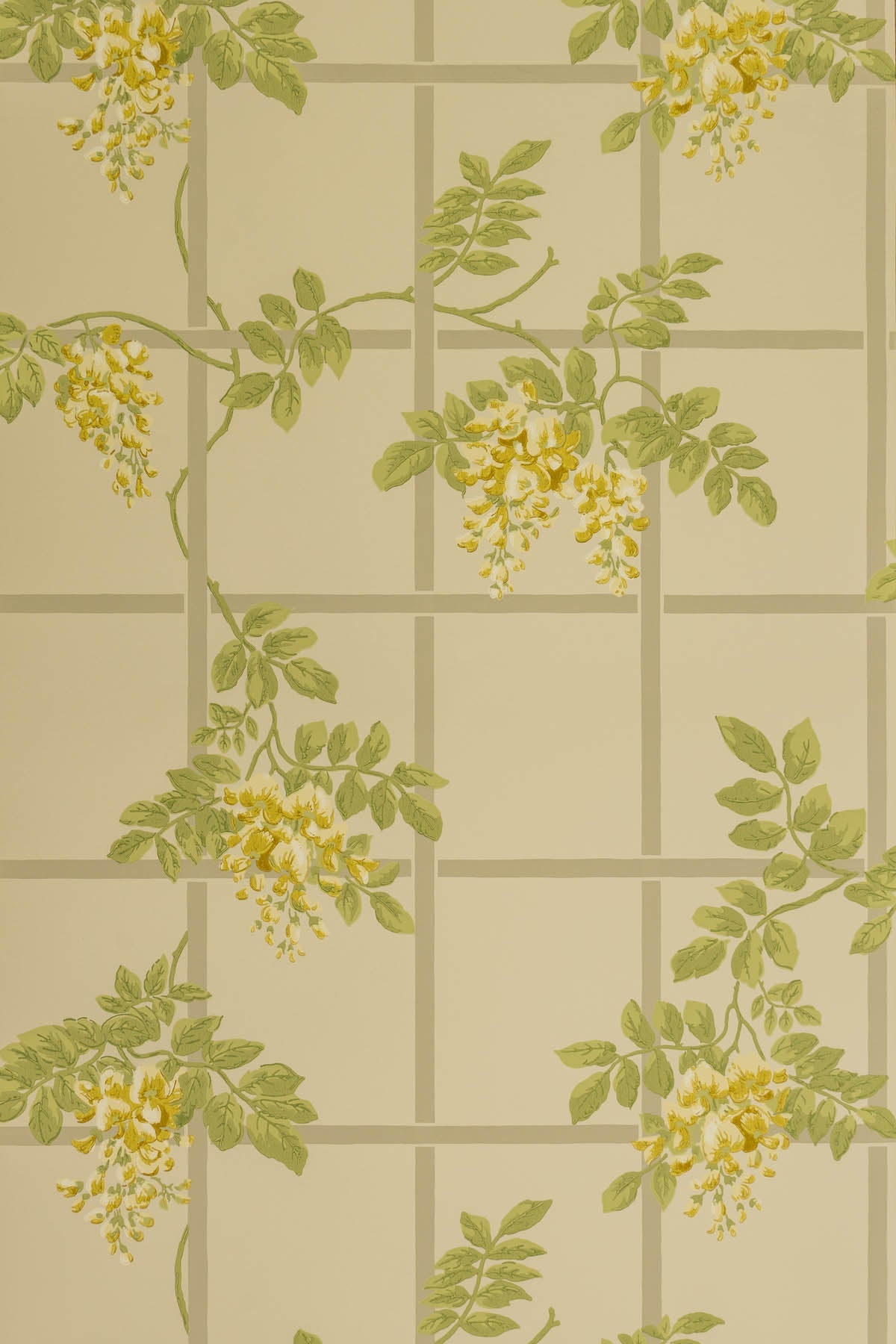 Templeton Trellis Wallpaper by Jean Monro in Buttermilk