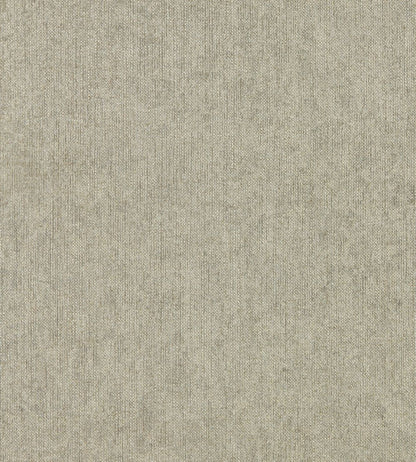 Texo Wallpaper by Clarke & Clarke Pebble
