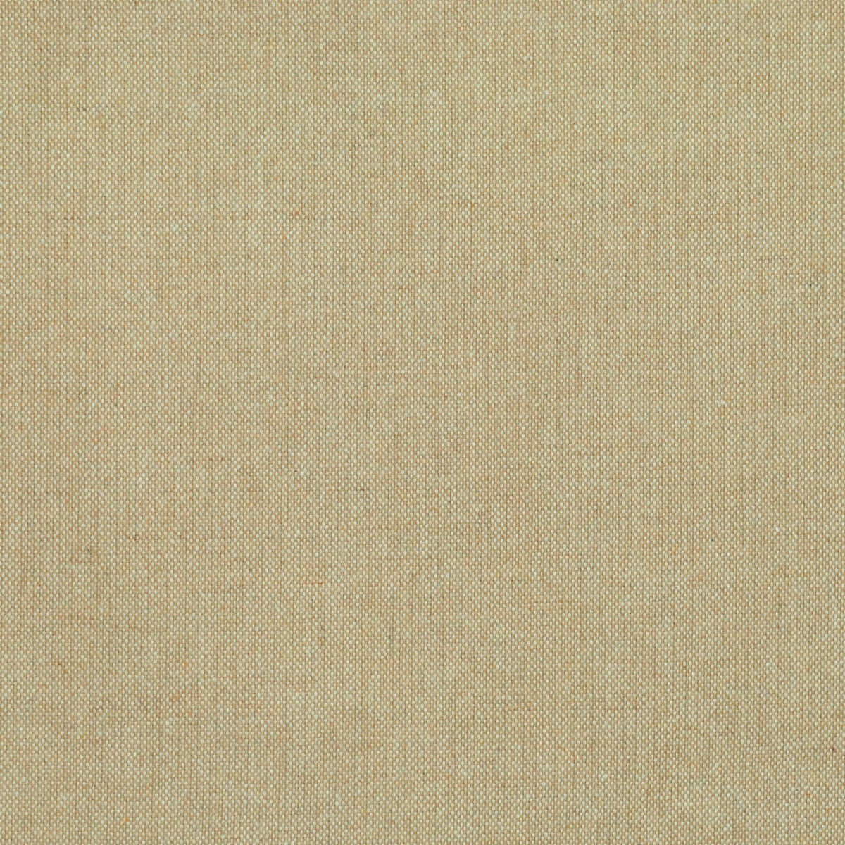 The ReBorn House TRH2250 Fabric, colorway TRH2250.E - solid in neutral, black, blue