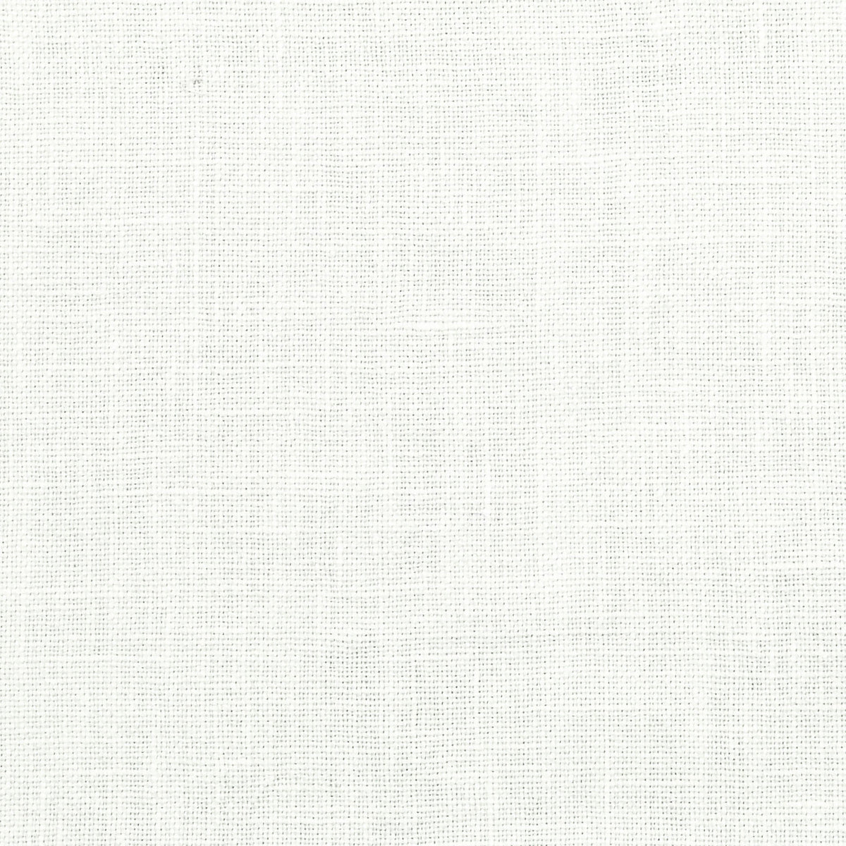 The ReBorn House TRH2284 Fabric, colorway TRH2284.F - solid in neutral, green, white