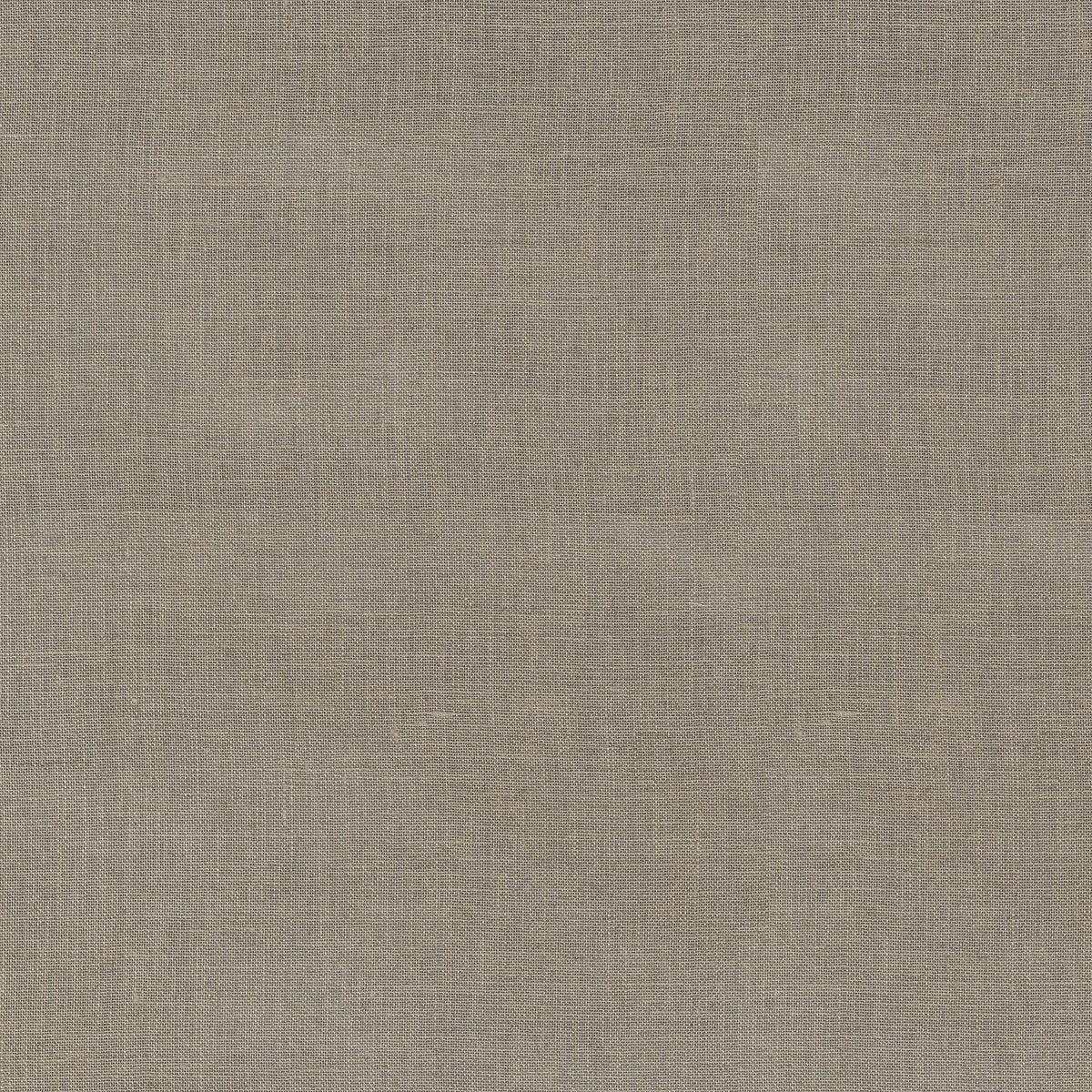The ReBorn House TRH3301 Fabric, colorway TRH3301.D - solid in neutral