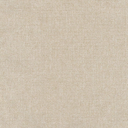 The ReBorn House TRH4515 Performance Fabric in Cream, colorway TRH4515.B