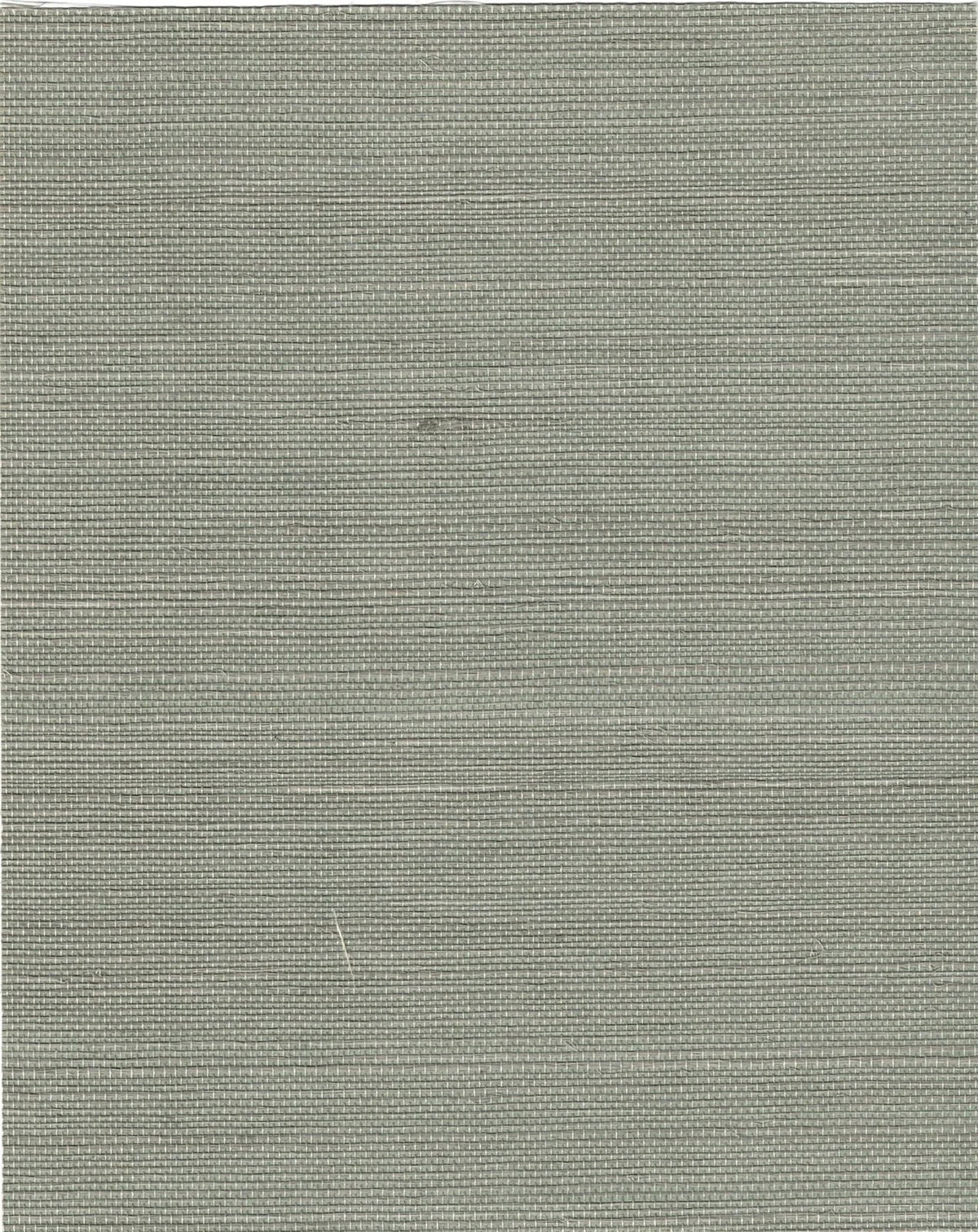 The ReBorn House TRH51051 Sisal Wallcovering in green, colorway TRH51051.G, swatch