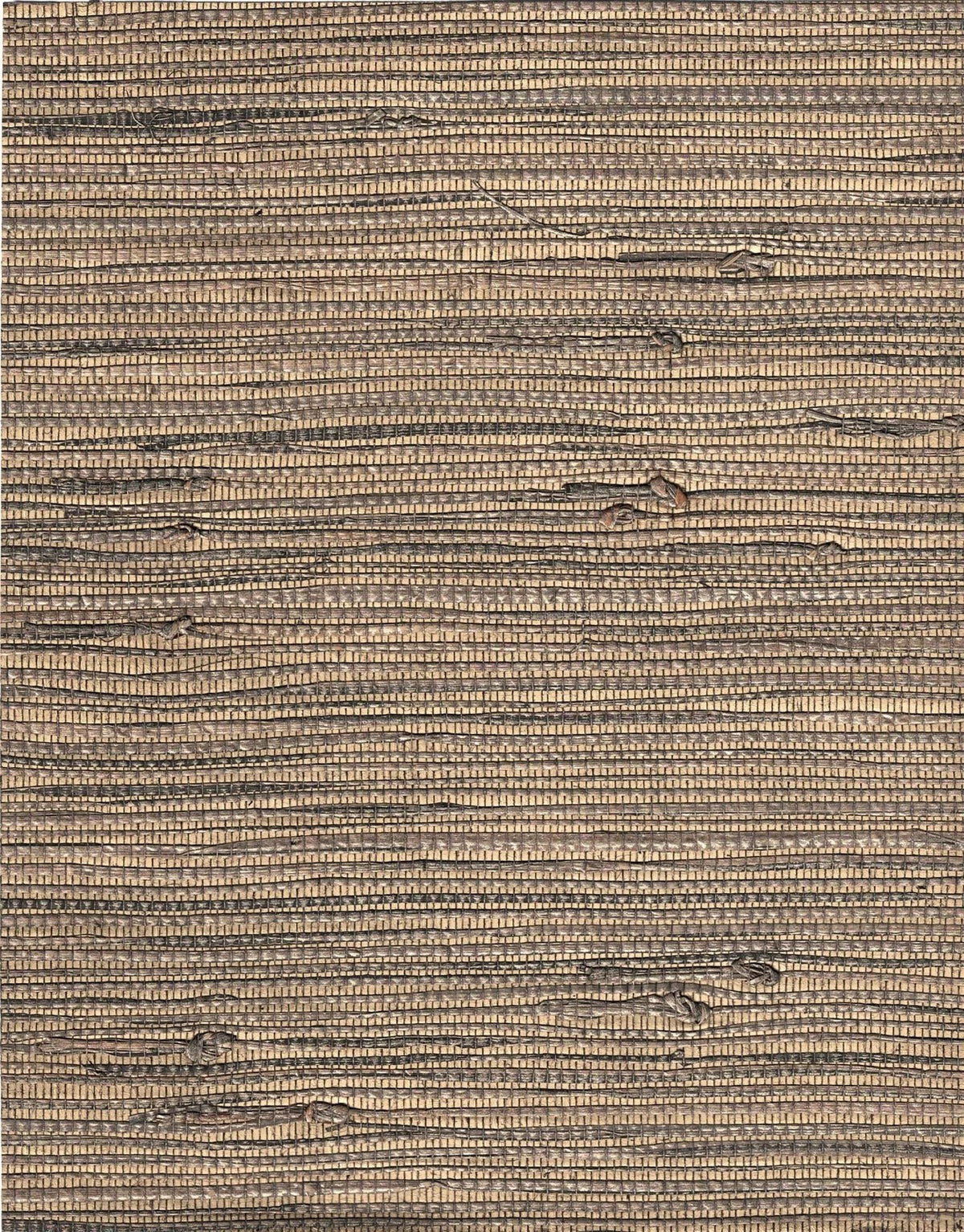The ReBorn House TRH51060 Grass Wallcovering in brown and neutral, colorway TRH51060.A, swatch