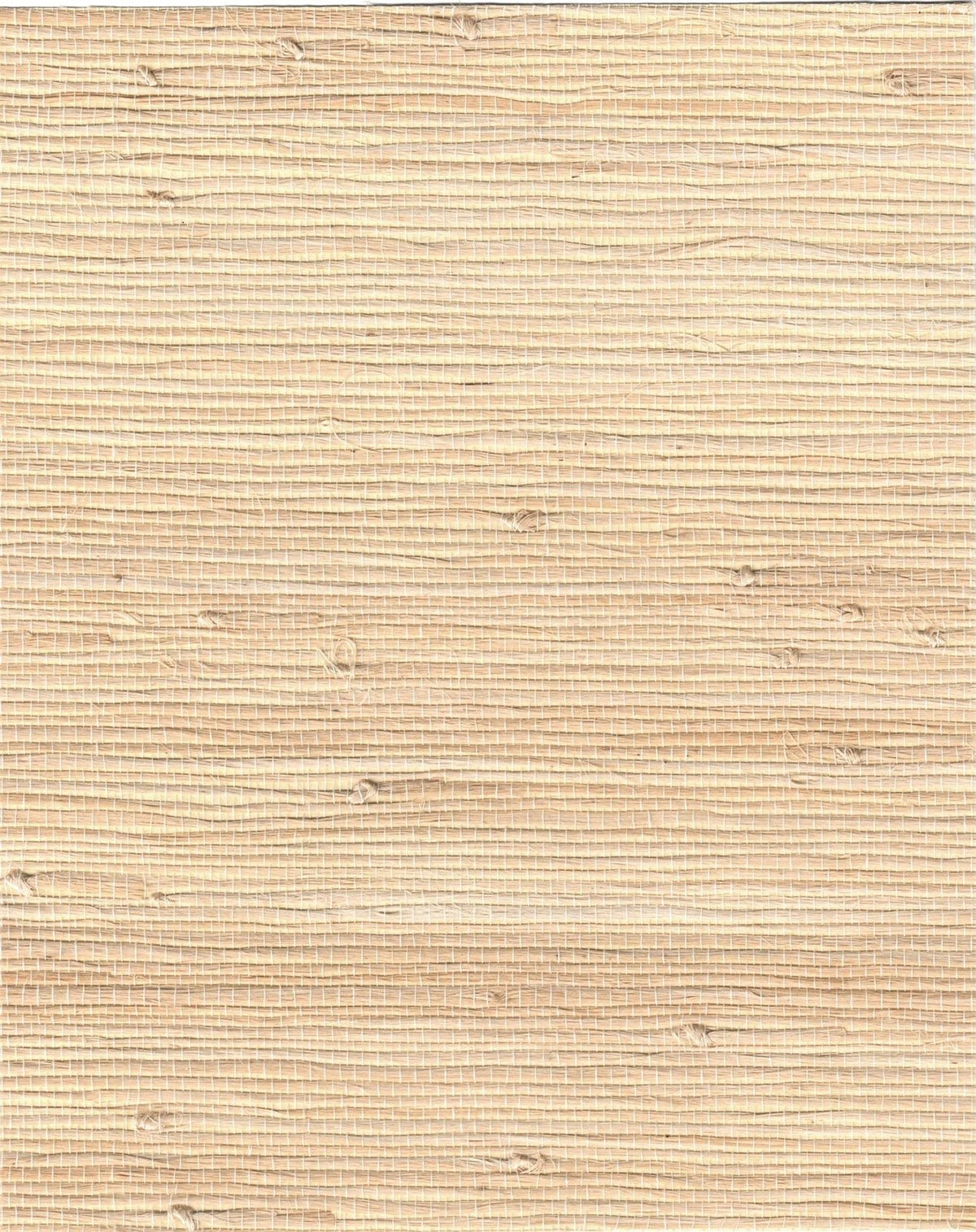 The ReBorn House TRH51081 Tightweave Jute Wallcovering in neutral, colorway TRH51081.A, swatch