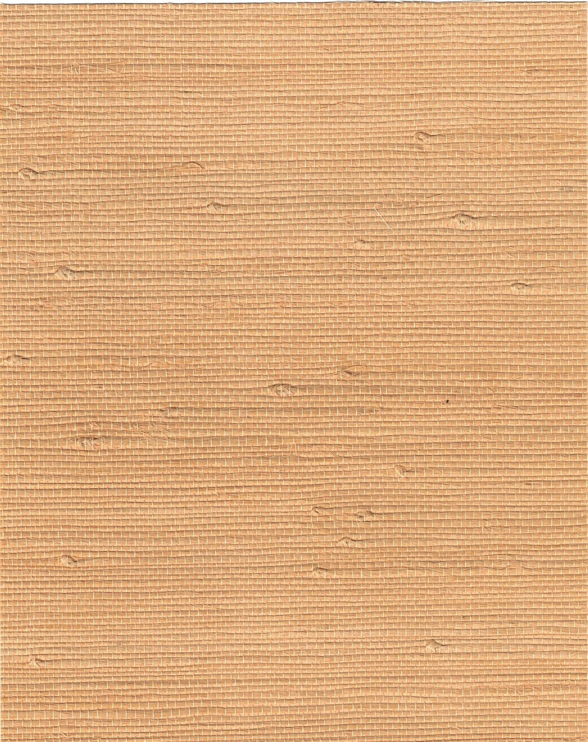 The ReBorn House TRH51081 Tightweave Jute Wallcovering in orange, colorway TRH51081.E, swatch