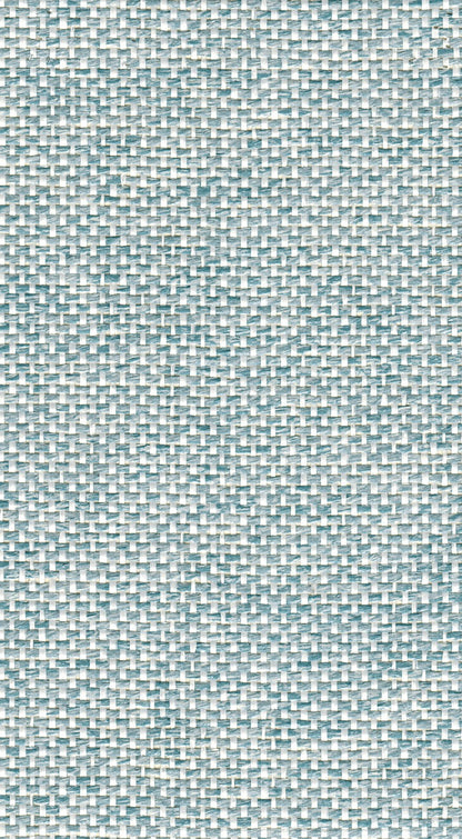 The ReBorn House TRH51110 Paperweave Wallcovering in grey, colorway TRH51110.A, swatch