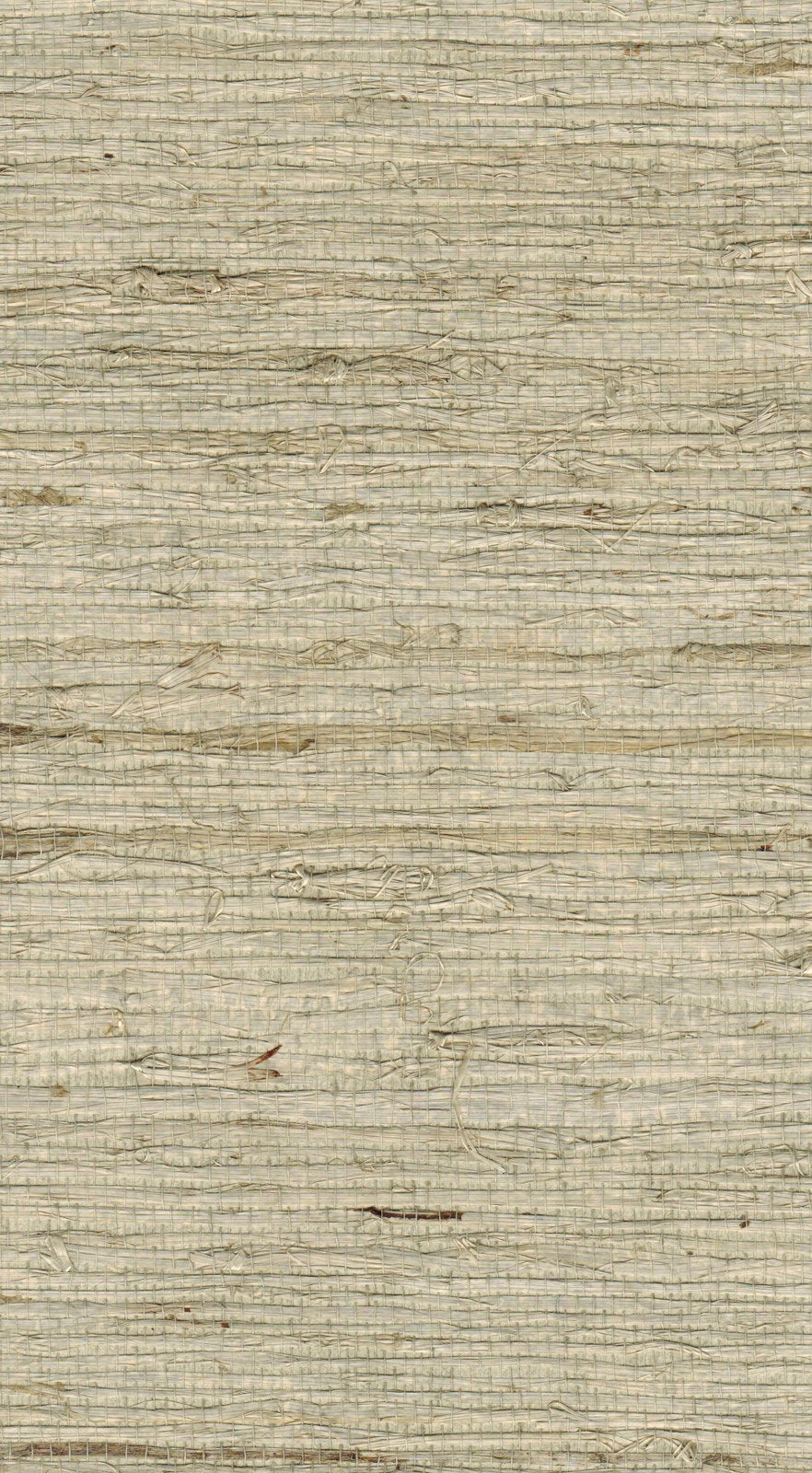 The ReBorn House TRH51111 Arrowroot Wallcovering in neutral, colorway TRH51111.B, swatch