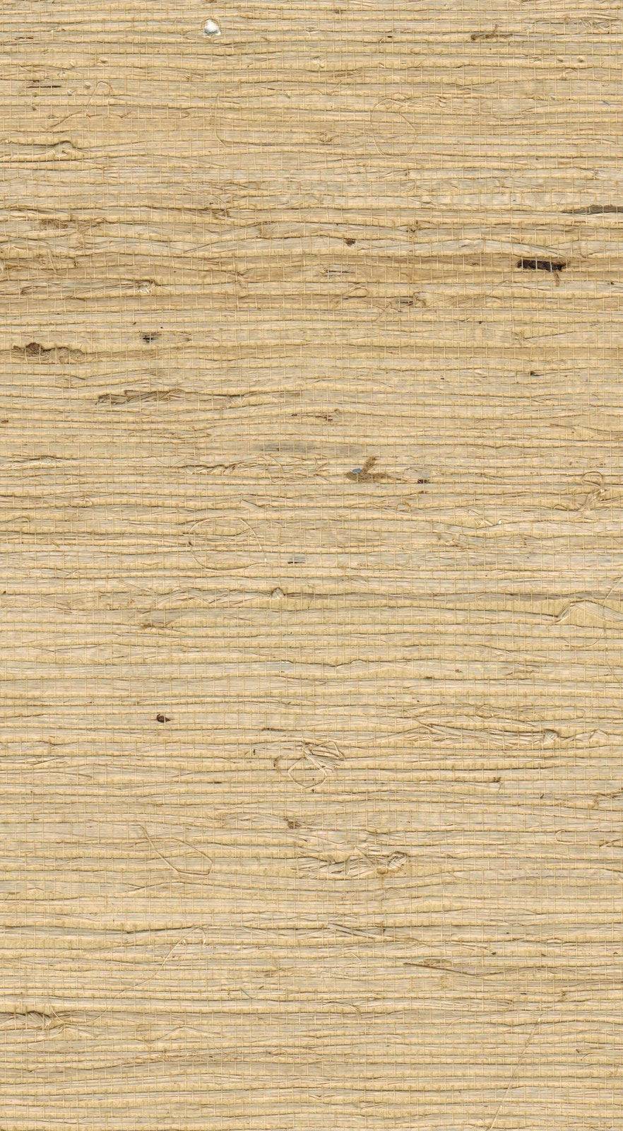 The ReBorn House TRH51111 Arrowroot Wallcovering in neutral, colorway TRH51111.C, swatch