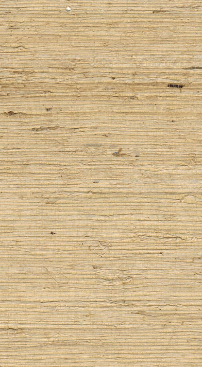 The ReBorn House TRH51111 Arrowroot Wallcovering in neutral, colorway TRH51111.C, swatch