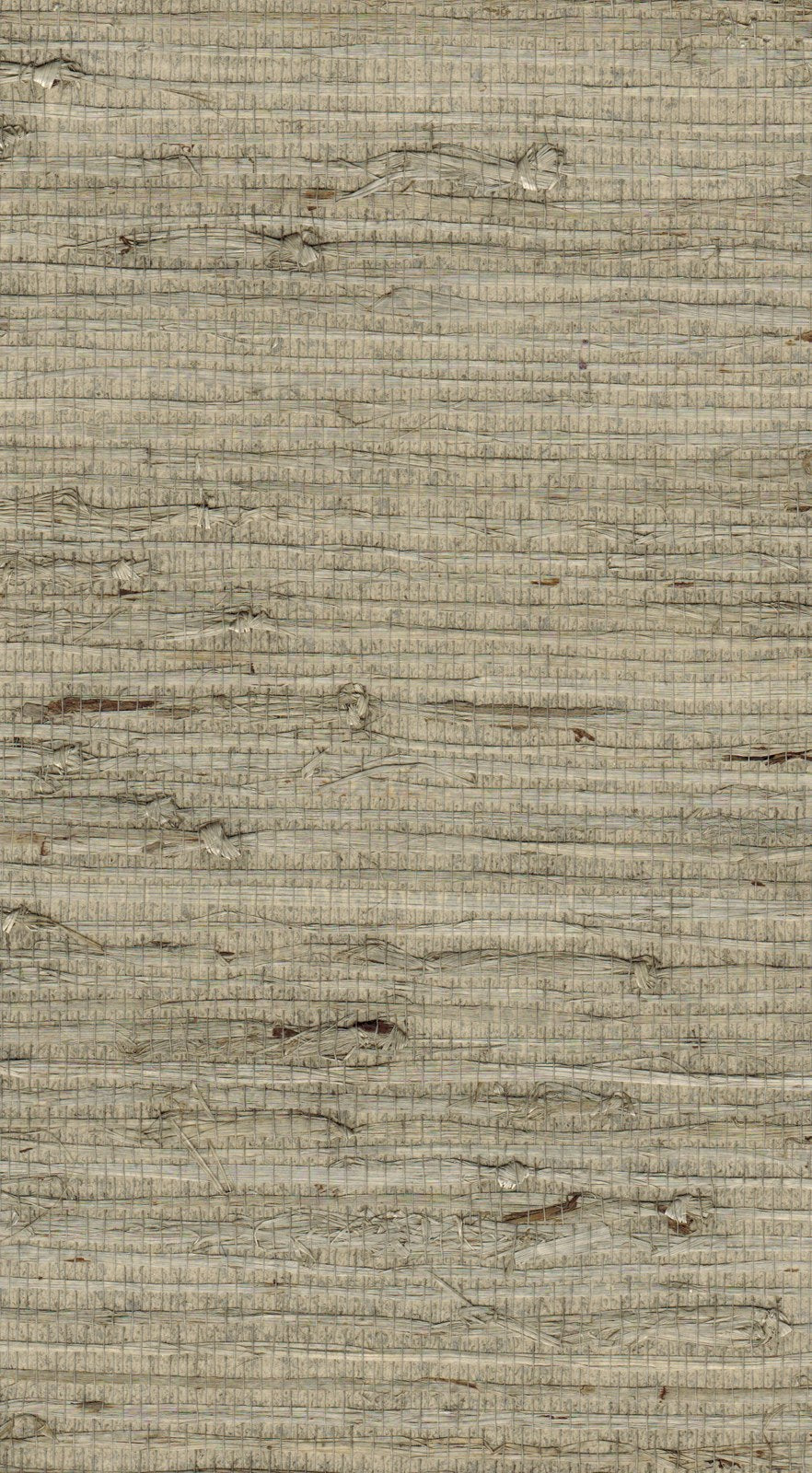 The ReBorn House TRH51121 Arrowroot Wallcovering in neutral, colorway TRH51121.A, swatch