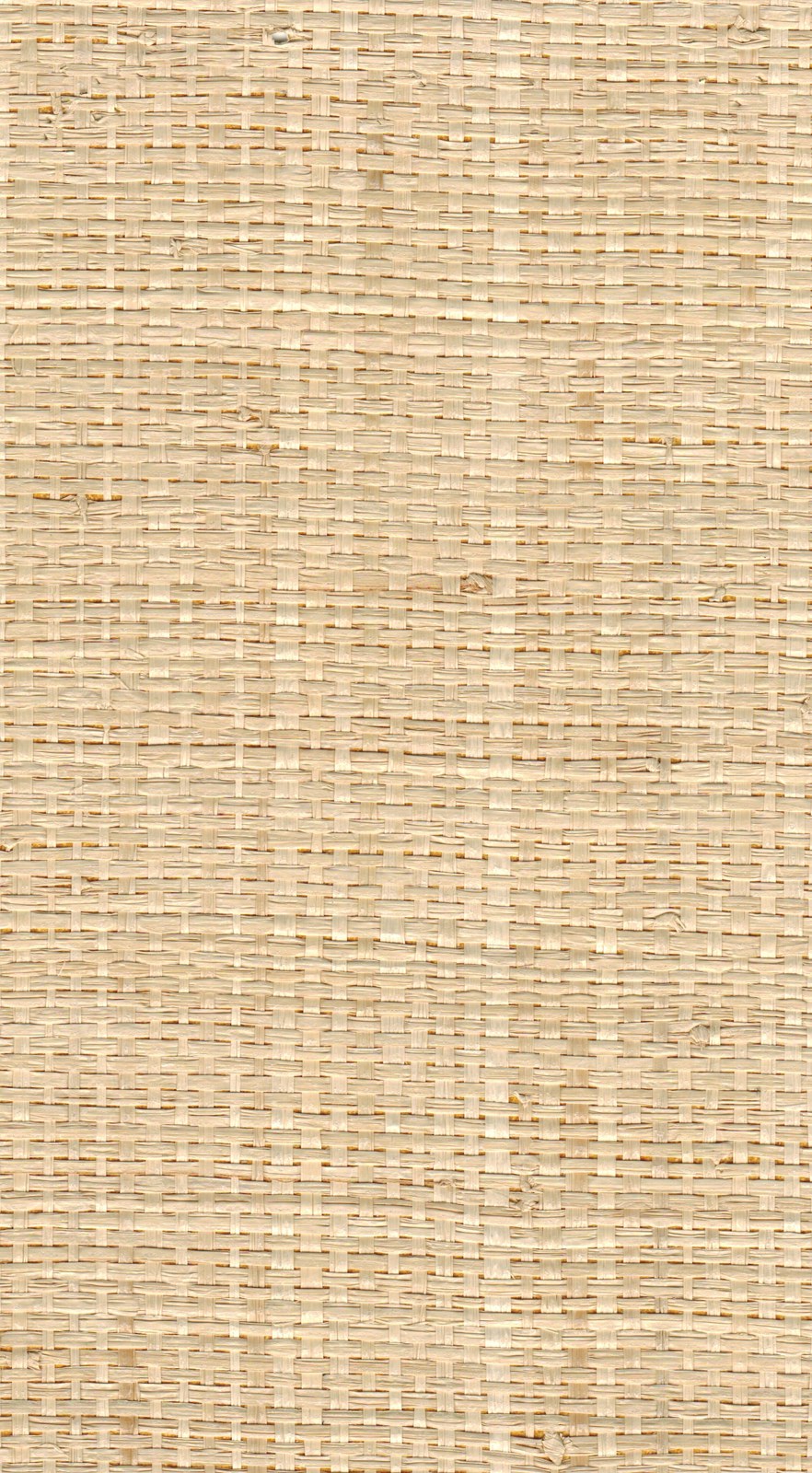 The ReBorn House TRH51130 Raffia Wallcovering in neutral, colorway TRH51130.A, swatch