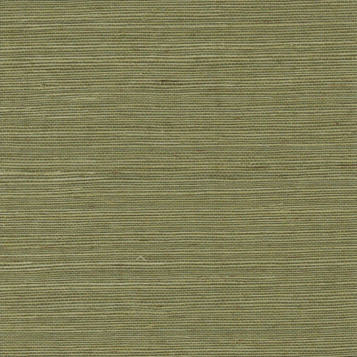 The ReBorn House TRH51149 Sisal Wallcovering in brown and green, colorway TRH51149.C, swatch