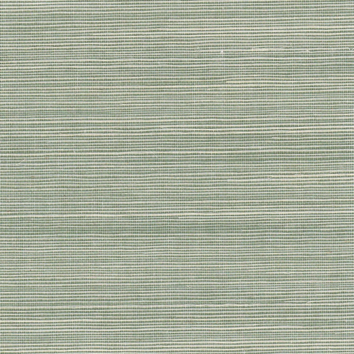 The ReBorn House TRH51149 Sisal Wallcovering in green, colorway TRH51149.D, swatch