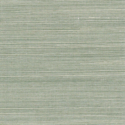 The ReBorn House TRH51149 Sisal Wallcovering in green, colorway TRH51149.D, swatch