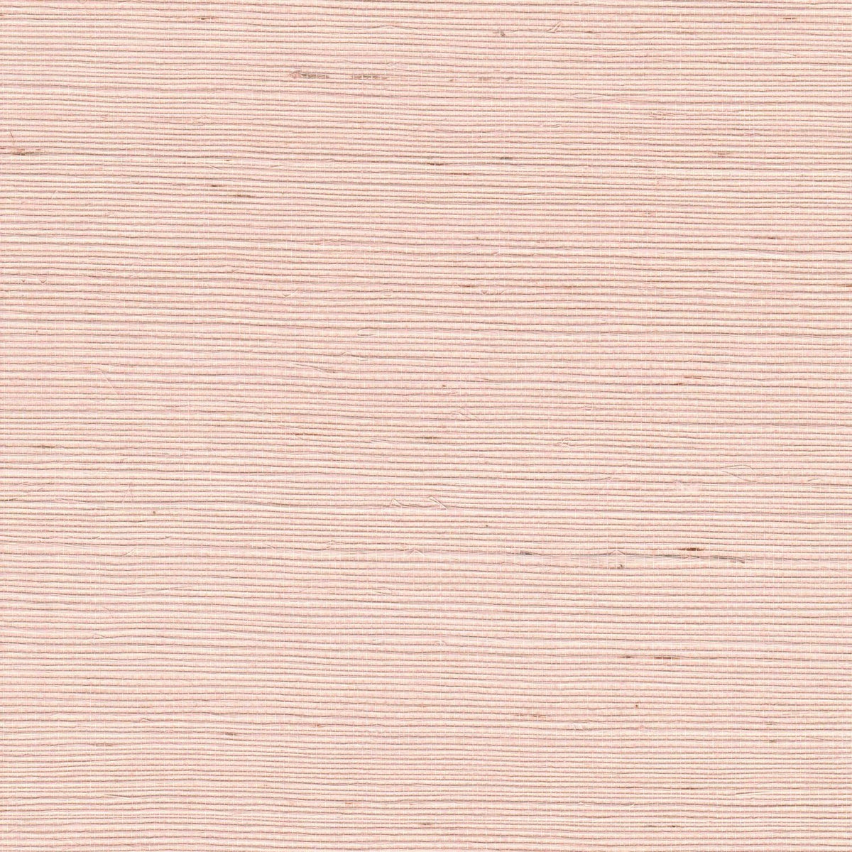 The ReBorn House TRH51149 Sisal Wallcovering in neutral, colorway TRH51149.K, swatch