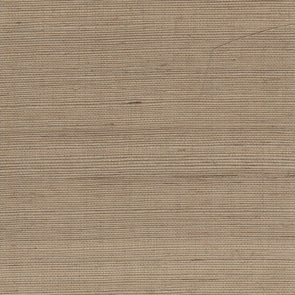 The ReBorn House TRH51150 Sisal Wallcovering in neutral and brown, colorway TRH51150.A, swatch