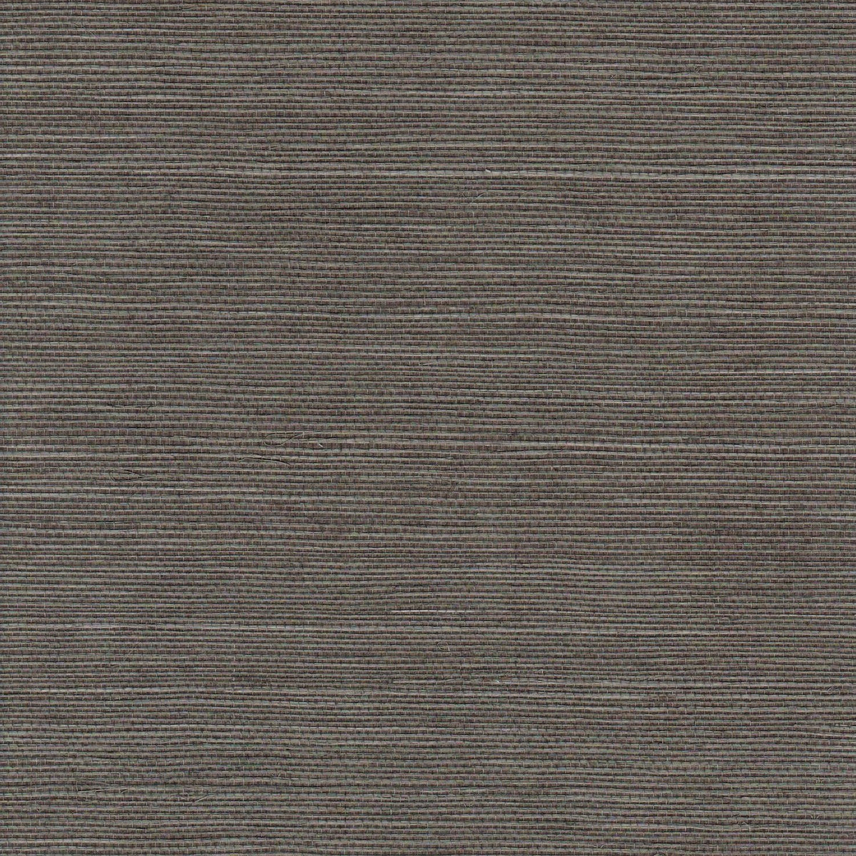 The ReBorn House TRH51150 Sisal Wallcovering in grey, colorway TRH51150.B, swatch