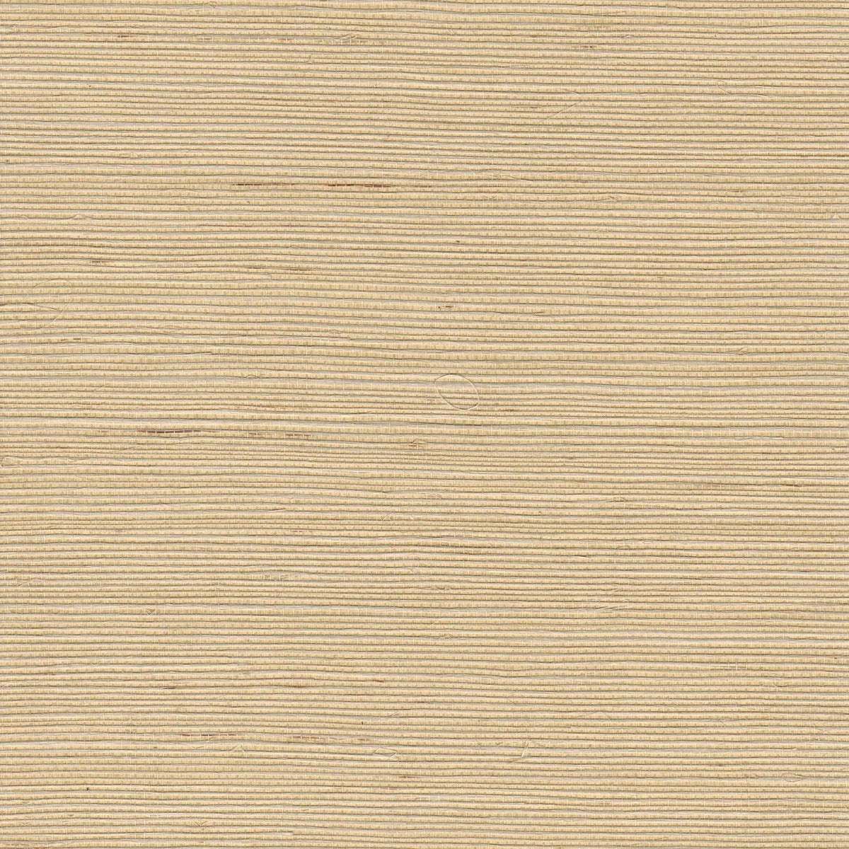 The ReBorn House TRH51150 Sisal Wallcovering in neutral, colorway TRH51150.D, swatch