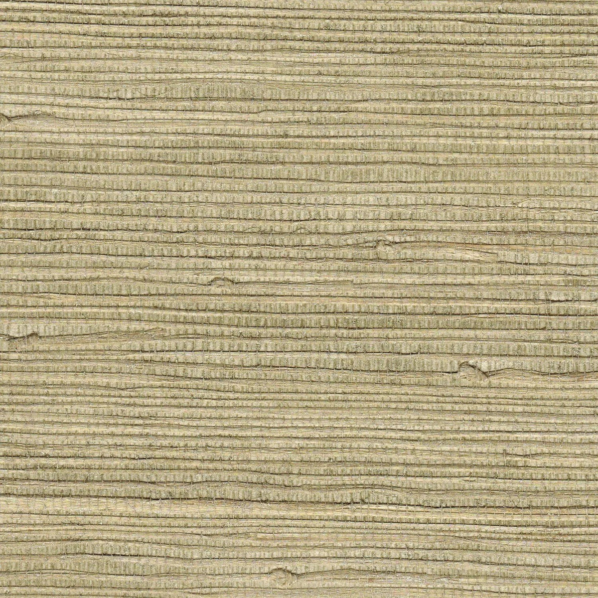 The ReBorn House TRH51175 Raw Jute Wallcovering in neutral, colorway TRH51175.A, swatch
