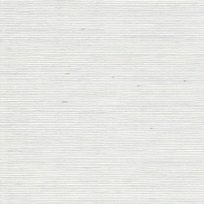 The ReBorn House TRH51176 Sisal on Metallic Wallcovering in white, colorway TRH51176.B, swatch