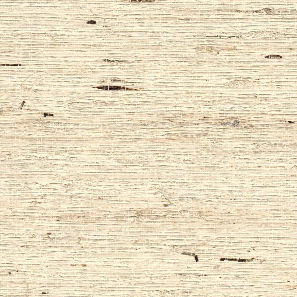 The ReBorn House TRH51177 Arrowroot Wallcovering in neutral, colorway TRH51177.B, swatch