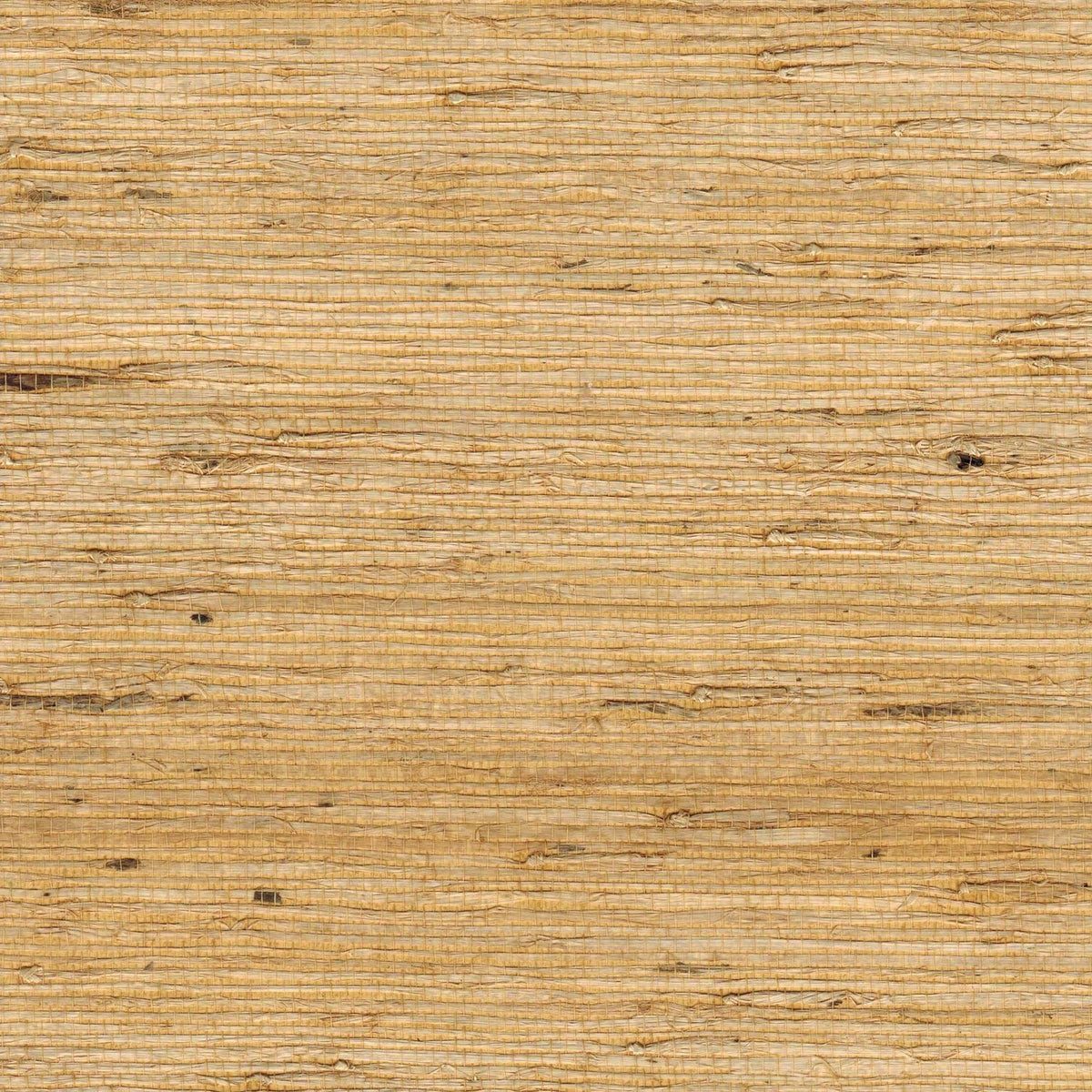 The ReBorn House TRH51177 Arrowroot Wallcovering in yellow and gold, colorway TRH51177.C, swatch