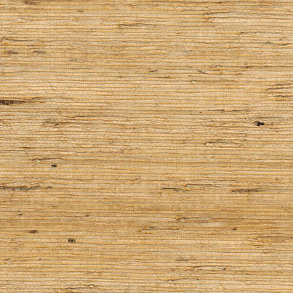 The ReBorn House TRH51177 Arrowroot Wallcovering in yellow and gold, colorway TRH51177.C, swatch