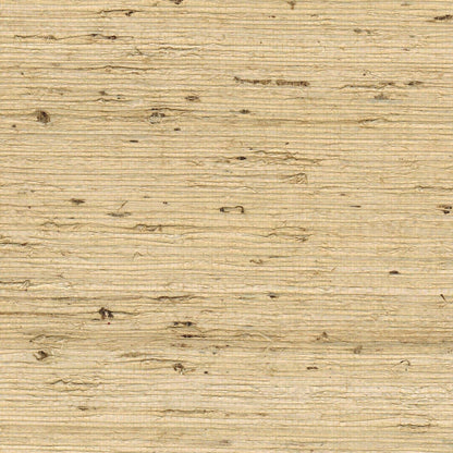 The ReBorn House TRH51177 Arrowroot Wallcovering in neutral, colorway TRH51177.D, swatch
