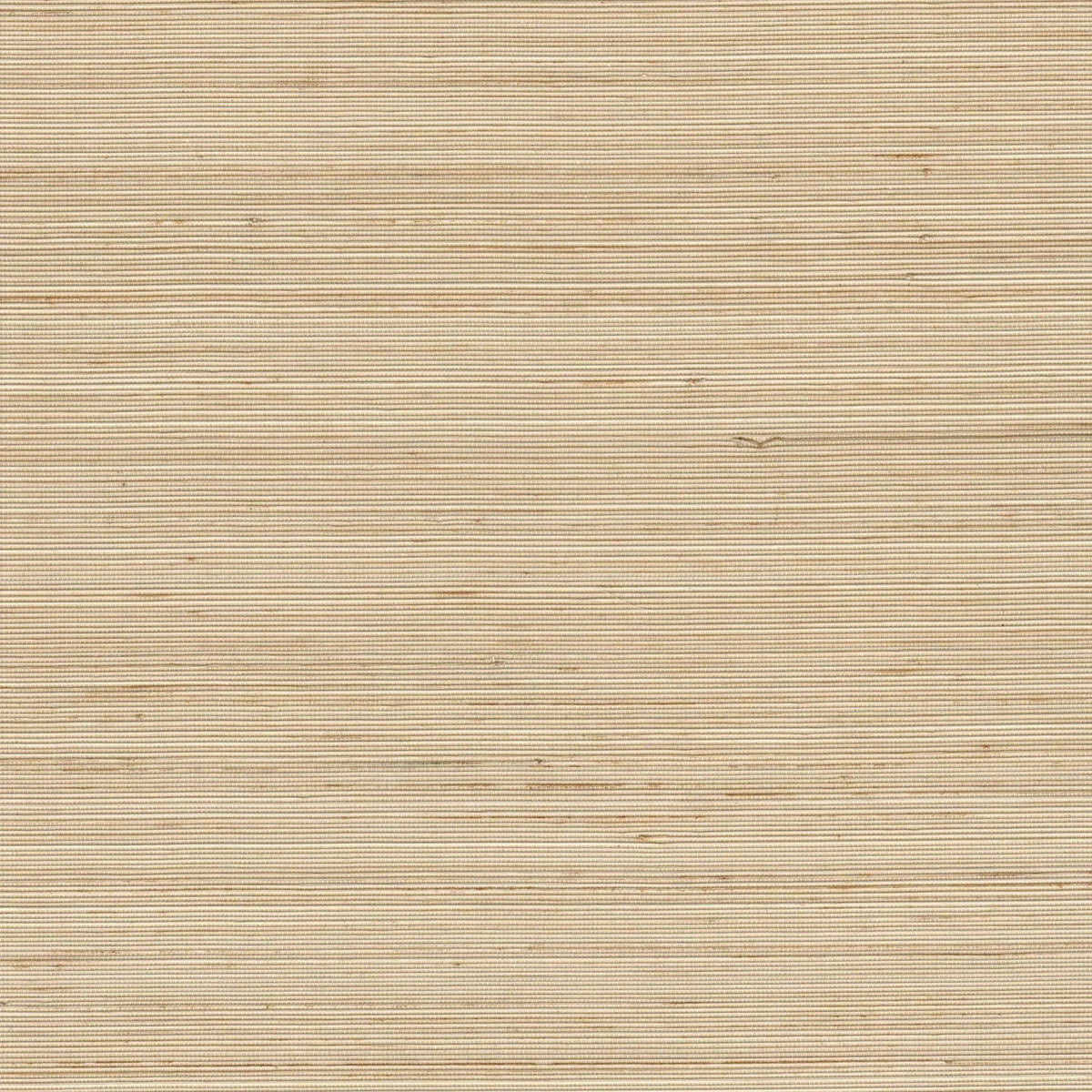 The ReBorn House TRH51183 Abaca with Nylon Warp Wallcovering in neutral, colorway TRH51183.A, swatch