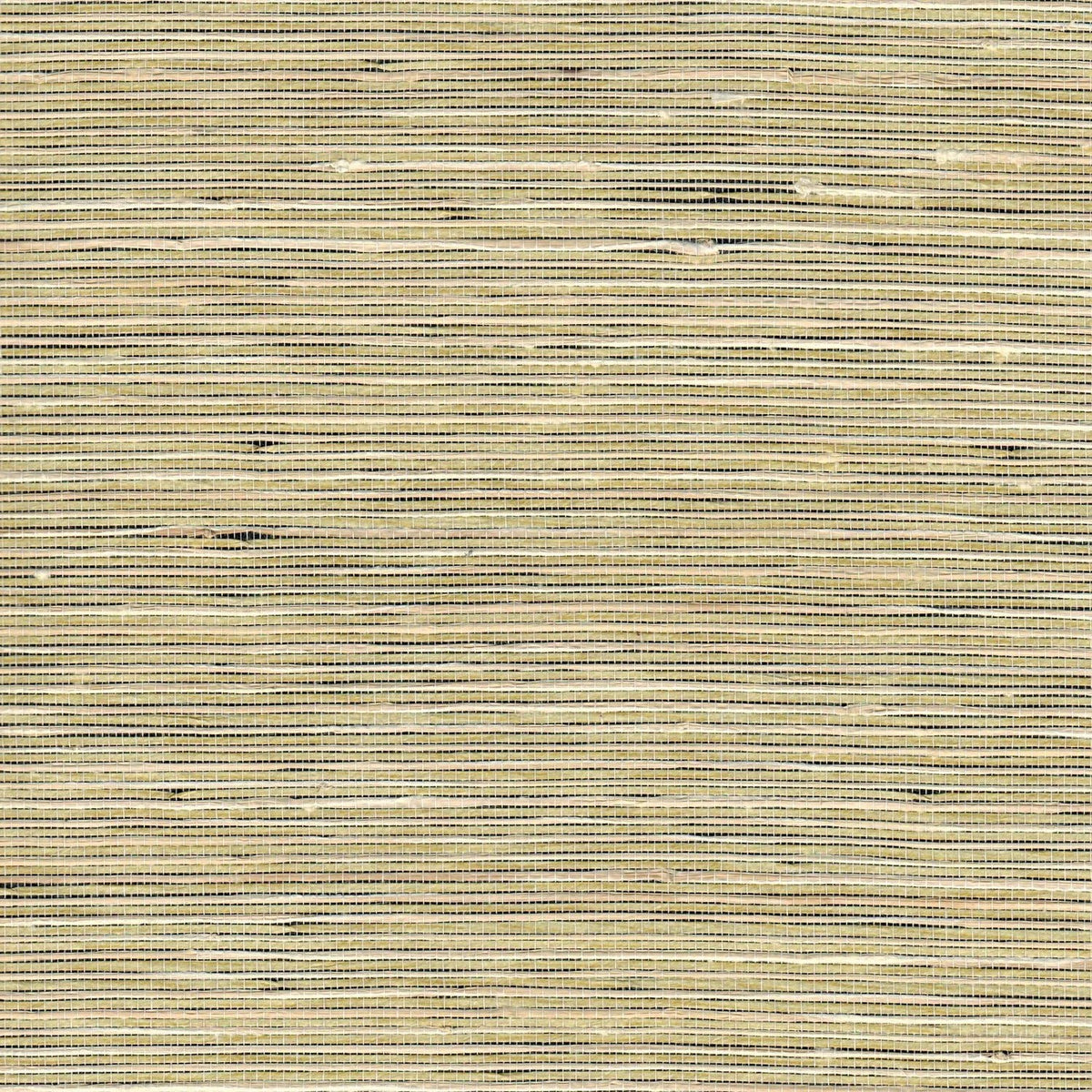 The ReBorn House TRH51187 Silk and Raffia with Paper Wallcovering in neutral, colorway TRH51187.A, swatch