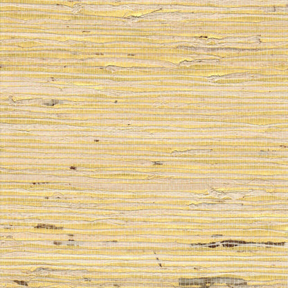 The ReBorn House TRH51189 Arrowroot on Metallic Wallcovering in yellow and neutral, colorway TRH51189.B, swatch