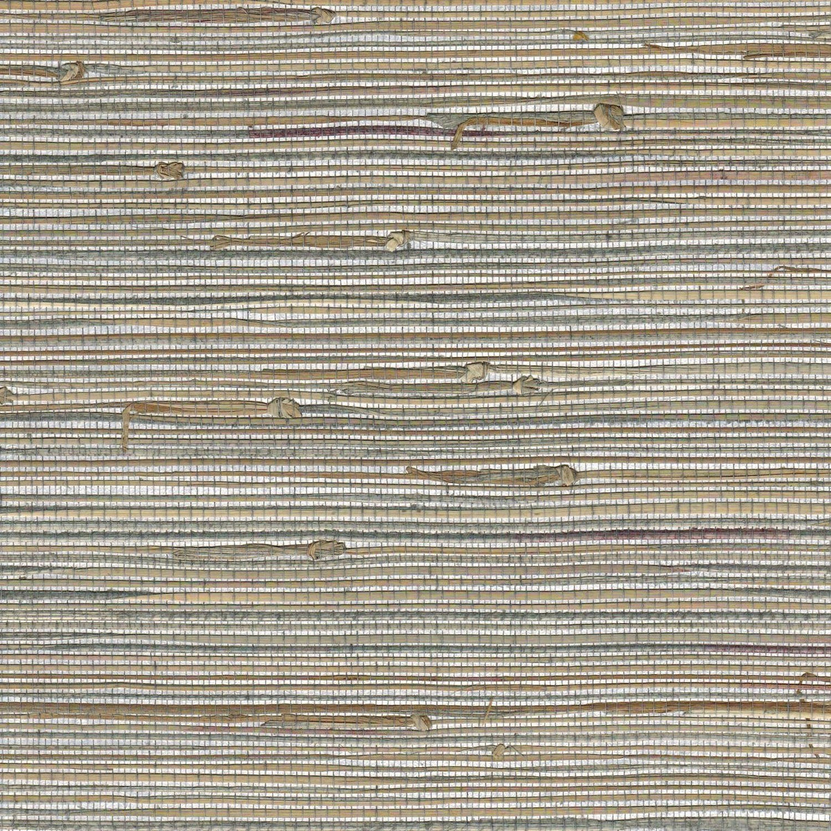 The ReBorn House TRH51192 Boodle on Metallic Wallcovering in grey and neutral, colorway TRH51192.A, swatch
