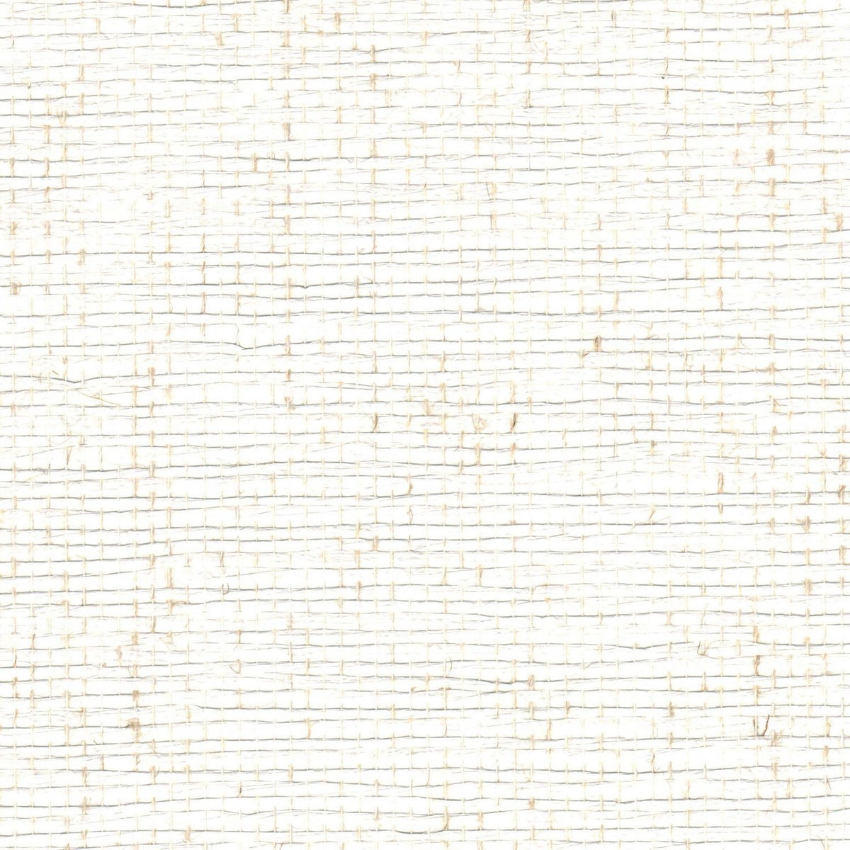 The ReBorn House TRH51194 Paperweave Wallcovering in white, colorway TRH51194.A, swatch