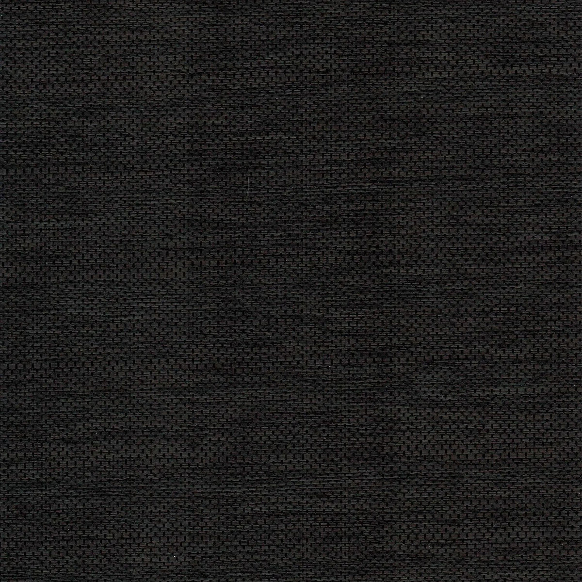 The ReBorn House TRH51202 Paperweave Wallcovering in black, colorway TRH51202.A, swatch