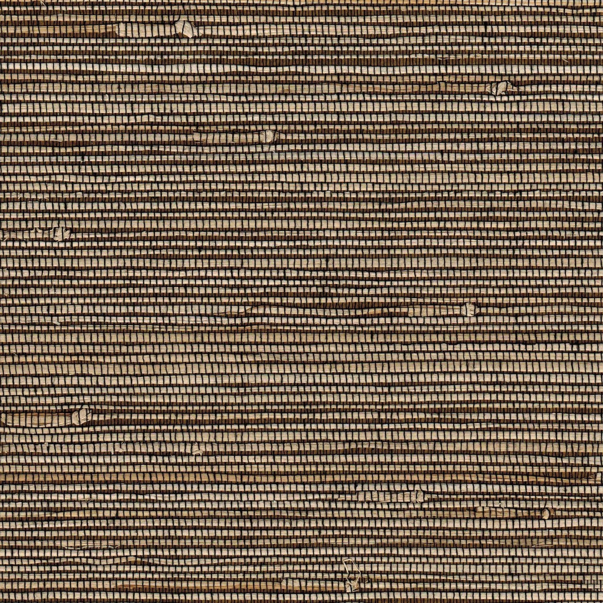 The ReBorn House TRH51204 Rushcloth Wallcovering in brown, colorway TRH51204.A, swatch