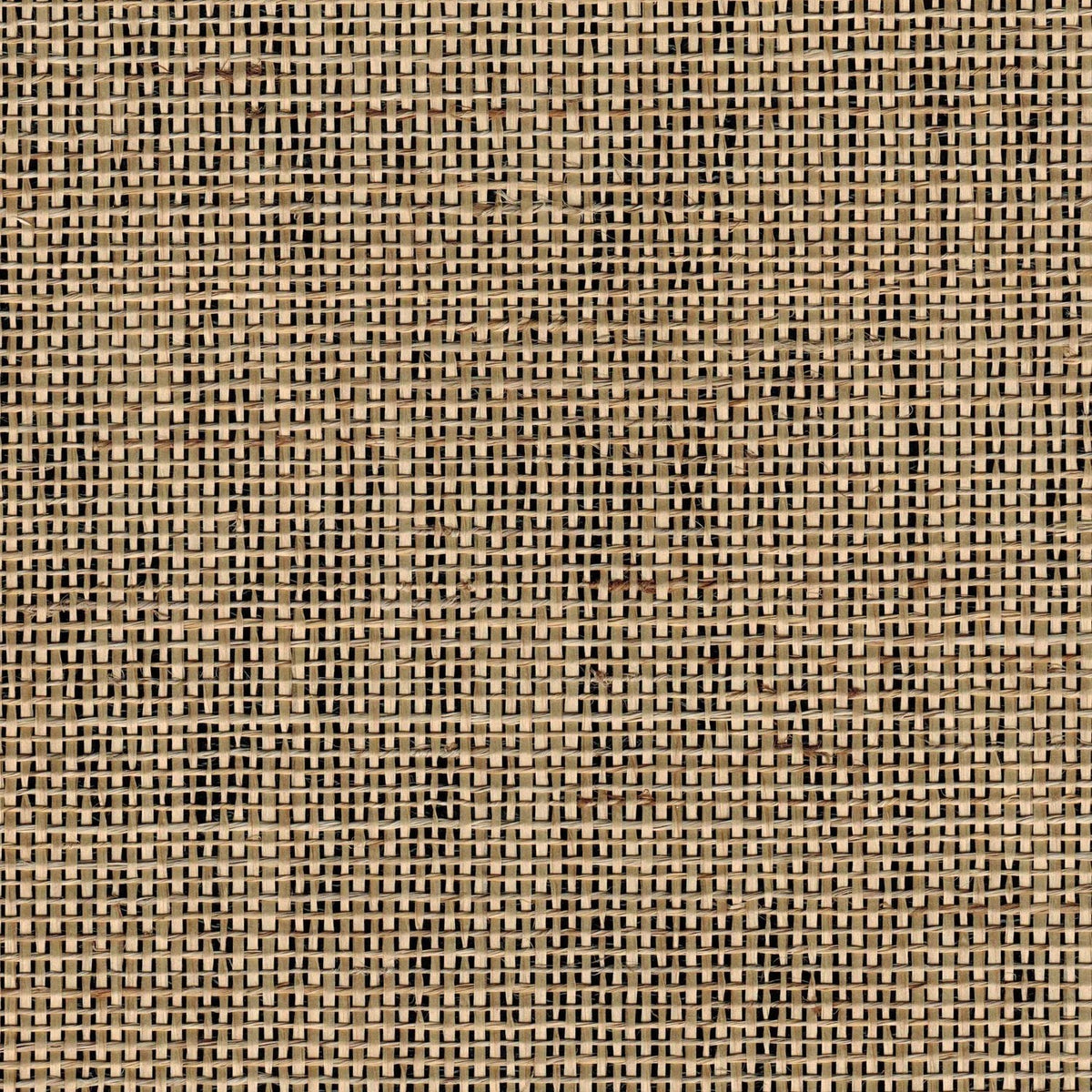 The ReBorn House TRH51205 Raw Jute with Paper Wallcovering in brown, colorway TRH51205.A, swatch