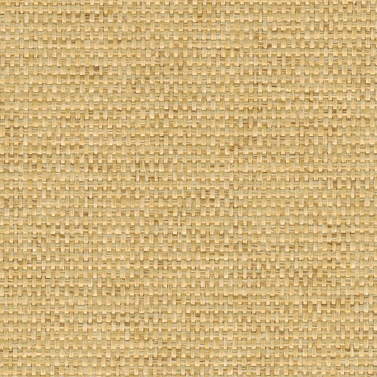 The ReBorn House TRH51210 Paperweave Wallcovering in yellow, colorway TRH51210.A, swatch
