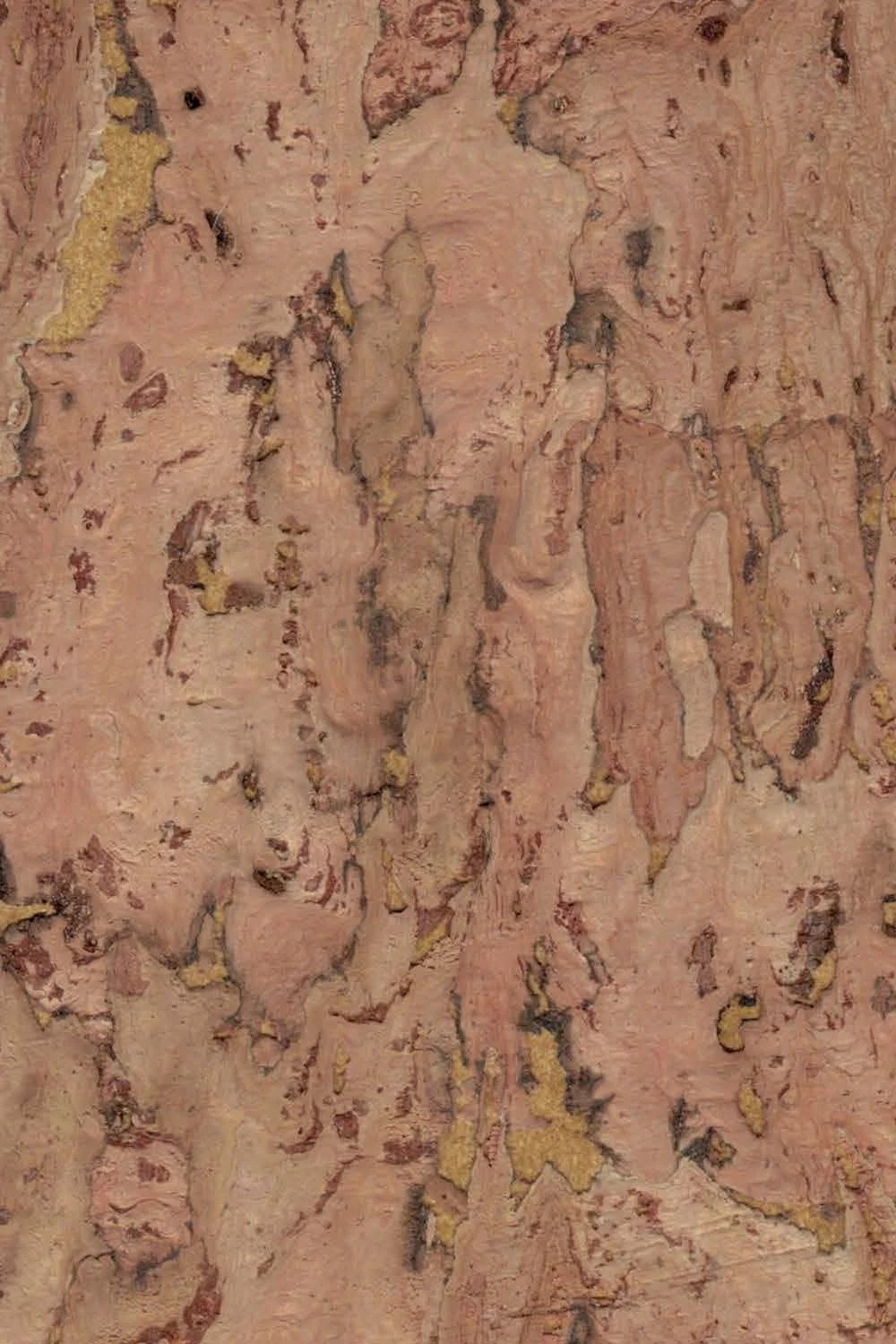 The ReBorn House TRH51242 Cork Wallcovering in brown and neutral, colorway TRH51242.A, swatch