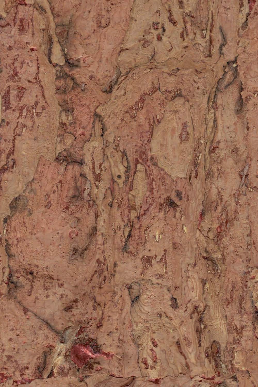 The ReBorn House TRH51251 Cork on Metallic Wallcovering in brown, colorway TRH51251.A, swatch
