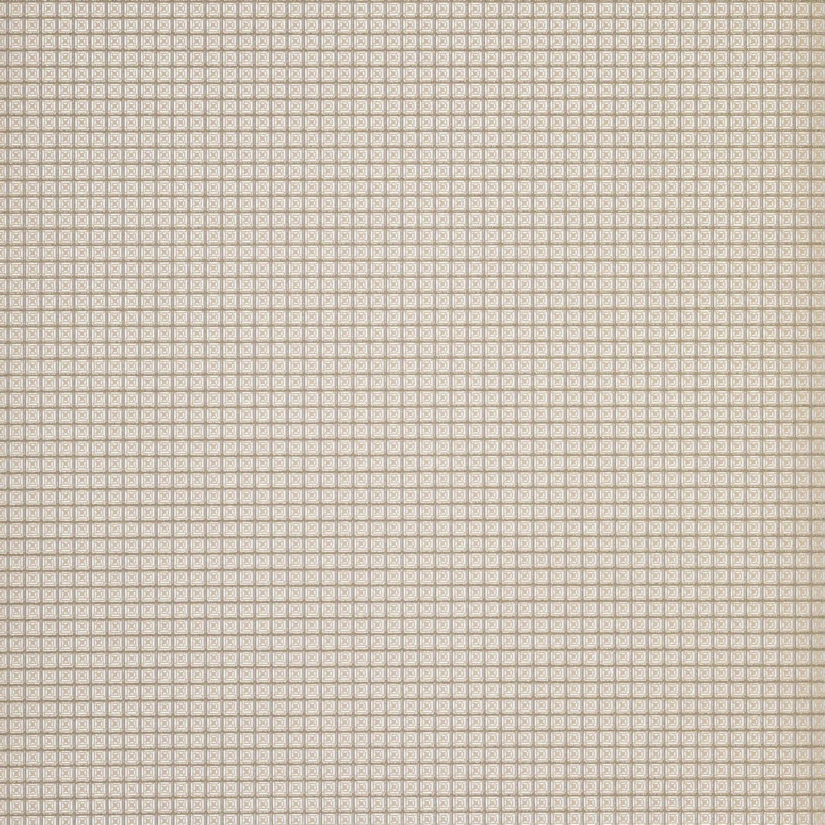 The ReBorn House TRH51258 Wallpaper in greige, colorway TRH51258.C, swatch