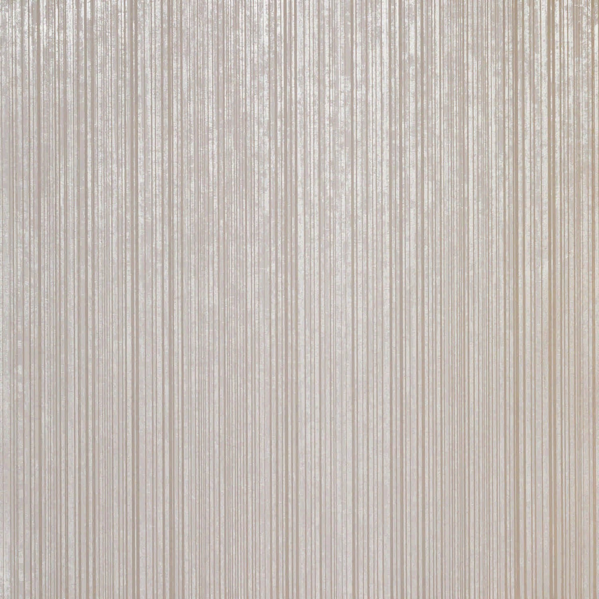 The ReBorn House TRH51261 Wallpaper in grey, colorway TRH51261.D, swatch
