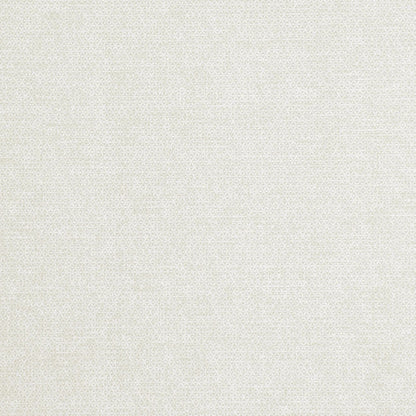 The ReBorn House TRH51273 Wallpaper in white, colorway TRH51273.C, swatch