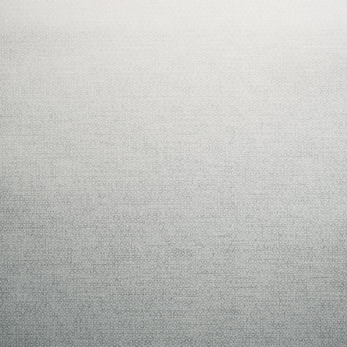 The ReBorn House TRH51273 Wallpaper in grey, colorway TRH51273.G, swatch